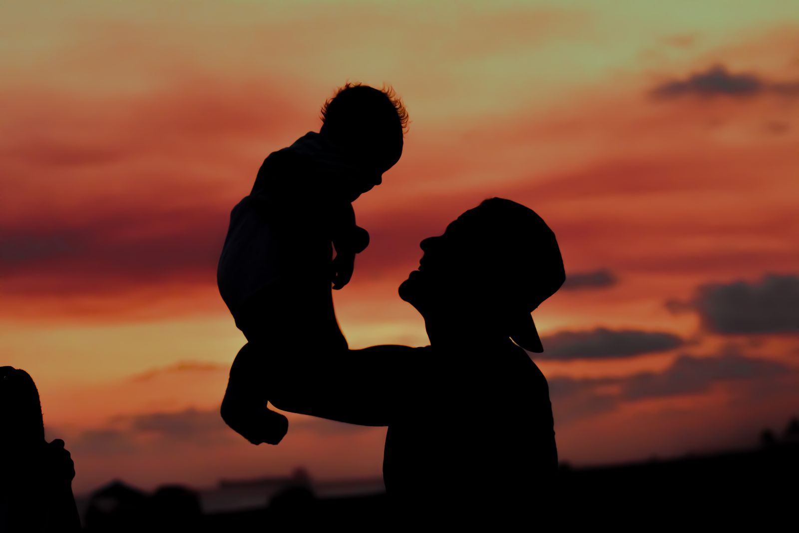 A stylized open Bible on a wooden table with a father's hand pointing to highlighted verses, sunlight streaming through a window, a child's silhouette visible in the background—visual metaphor for Scripture guiding a father's formation of his child.