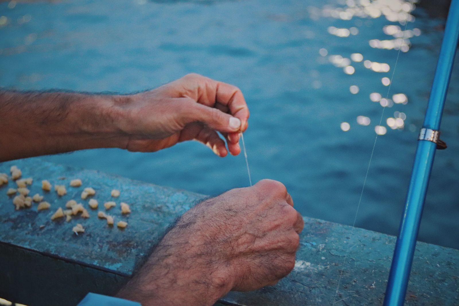Close-up sequence showing the five essential fishing knots: improved clinch knot with five wraps and final tuck; Palomar knot with doubled line passing through hook eye; uni knot forming a sliding loop; Rapala loop knot with small non-slip loop over lure; double uni knot with two uni knots nesting together. Each knot should show the line path clearly with numbers indicating wrap order. Wet knot detail showing water droplets on line before cinching.